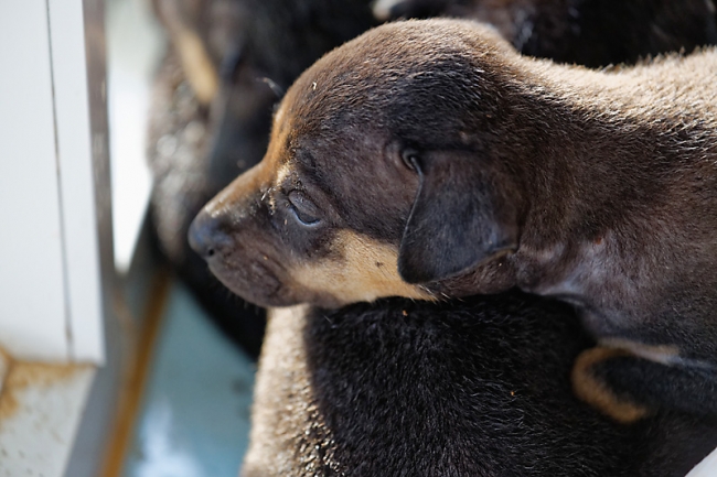 Famille et amis-MAI17-023